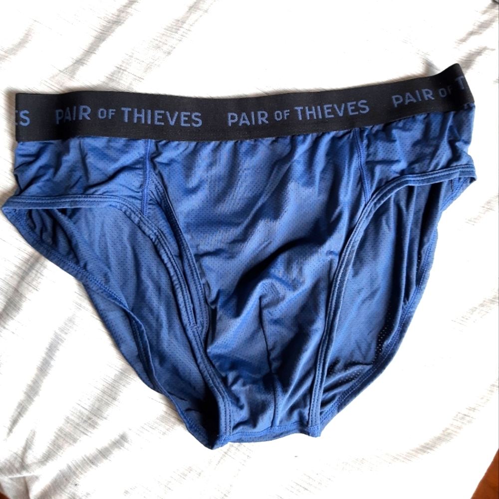Pair of Thieves Blue Briefs